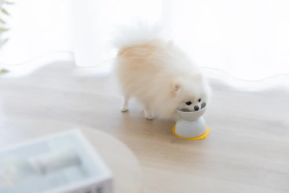 チビプレダブル