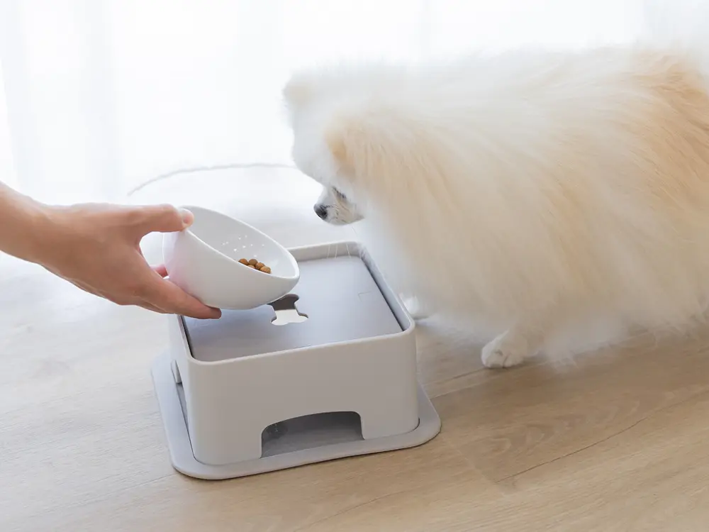 食事の時間に