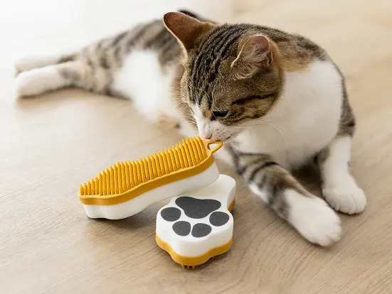 HARIO PET 商品イメージ