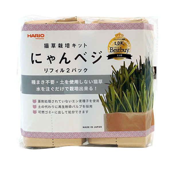 CAT GRASS